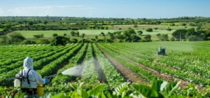 Como Mitigar los Efectos Negativos de la Fumigacion en el Medio Ambiente