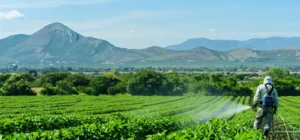 Control de la contaminacion derivada de la fumigacion enfoques practicos