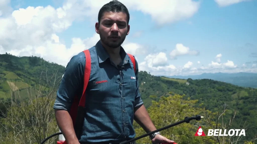 Fumigacion de Cucarachas Productos Quimicos mas Efectivos y Consejos de Aplicacion