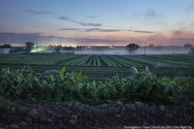 La Fumigacion y su Contribucion a la Contaminacion Luminica