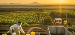 Manejo de Residuos de Fumigacion Buenas Practicas para la Sostenibilidad Agricola